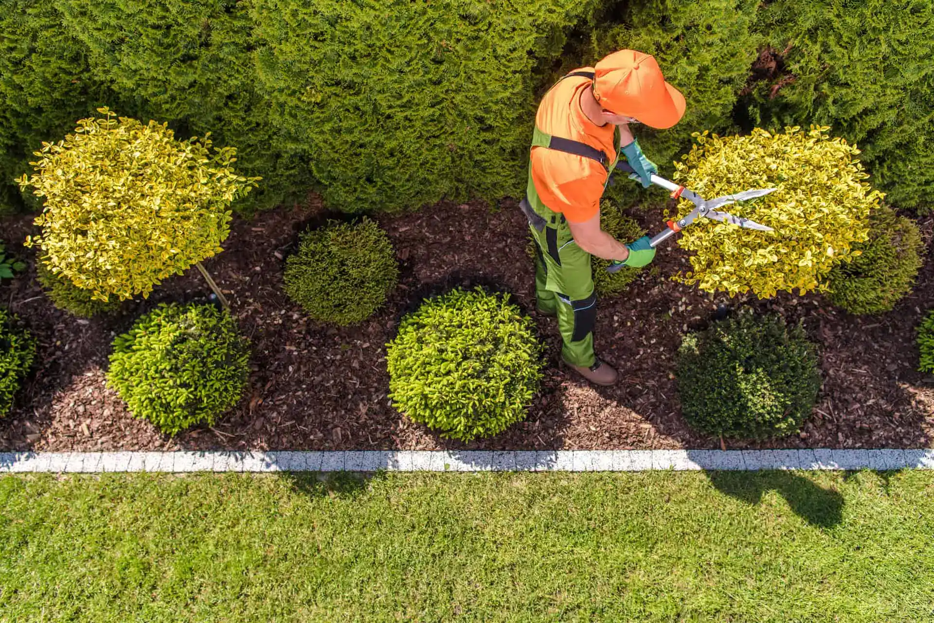 Landscaping Insurance Massachusetts
