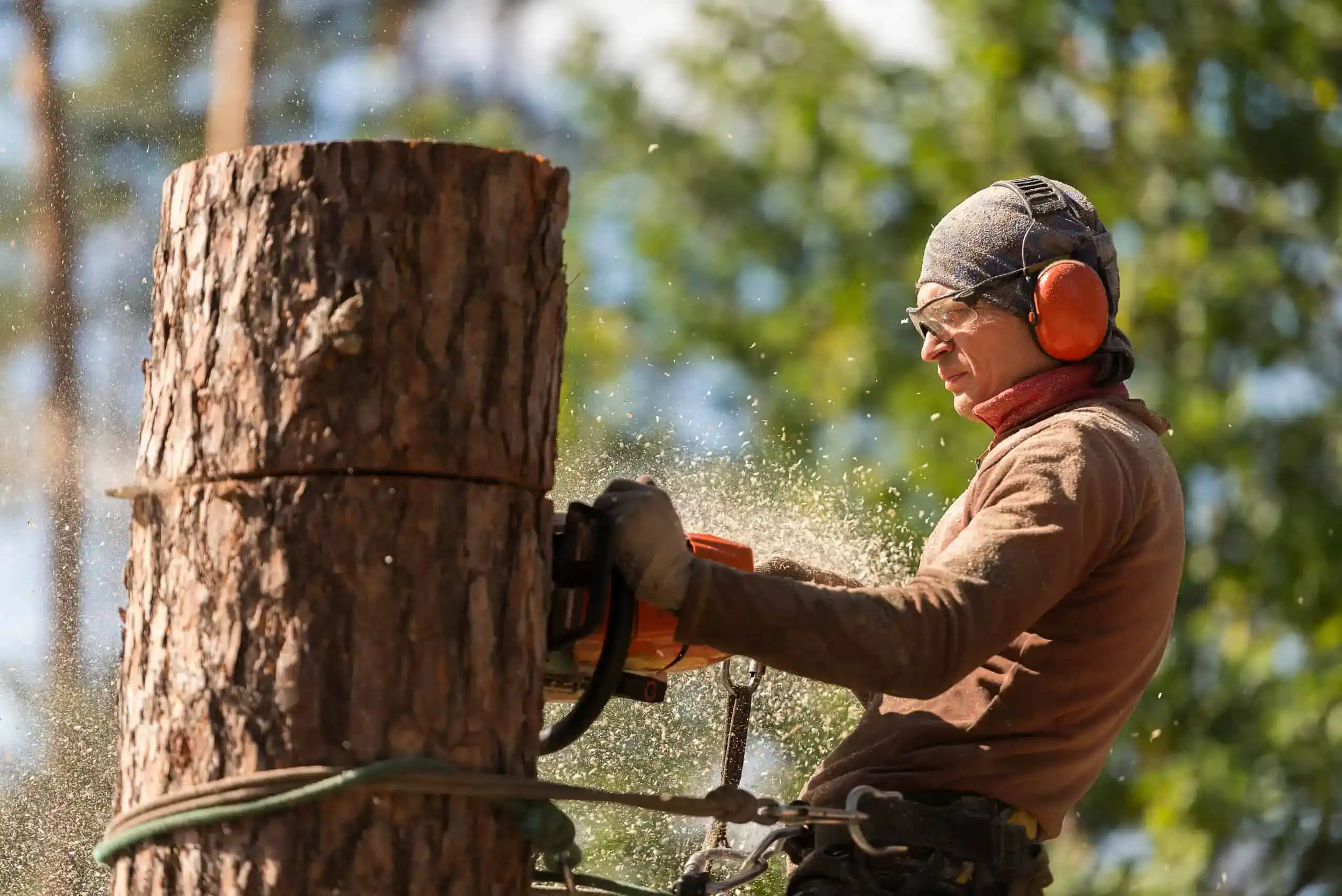 Arborist Insurance Massachusetts