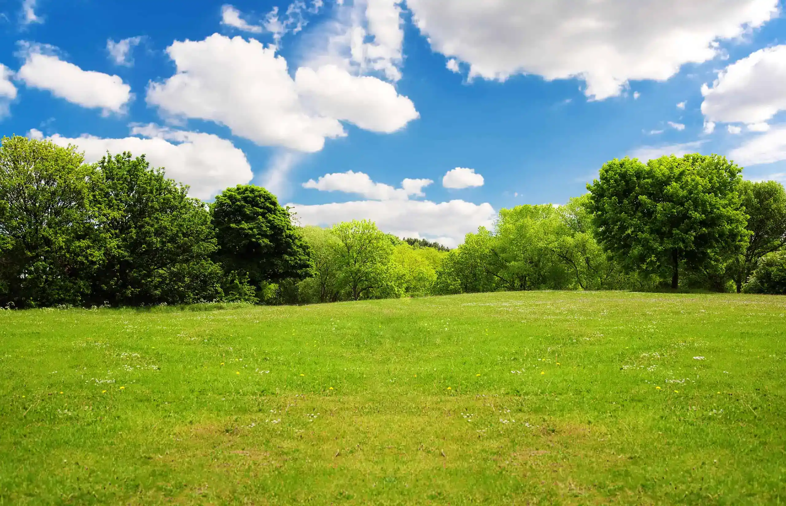 Vacant Land Insurance Massachusetts