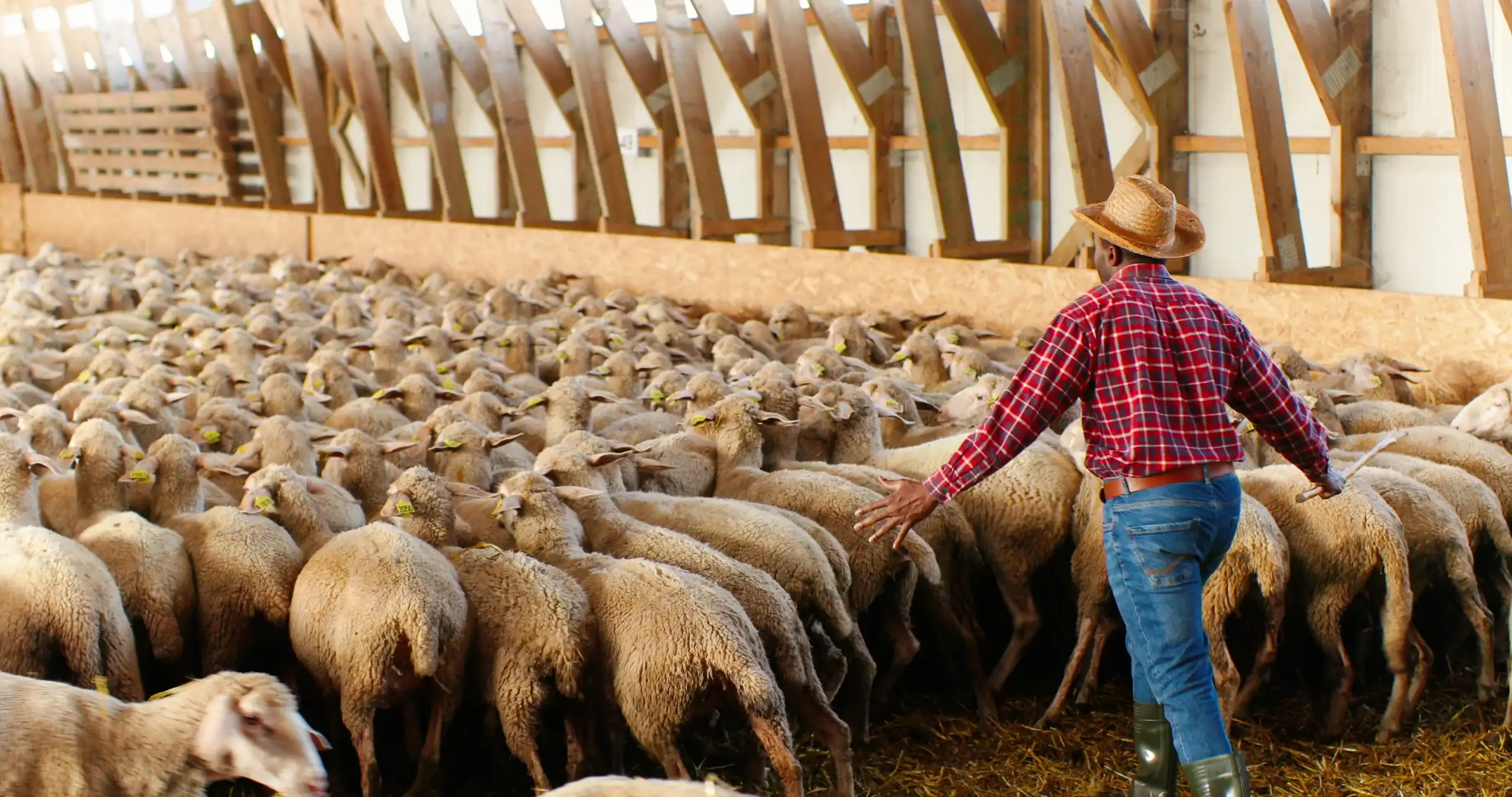 Farm Insurance Massachusetts